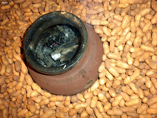 Groundnut